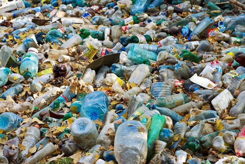 Личинка моли поможет в борьбе с пластиковыми отходами